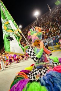 desfile-homenageia-rita-lee